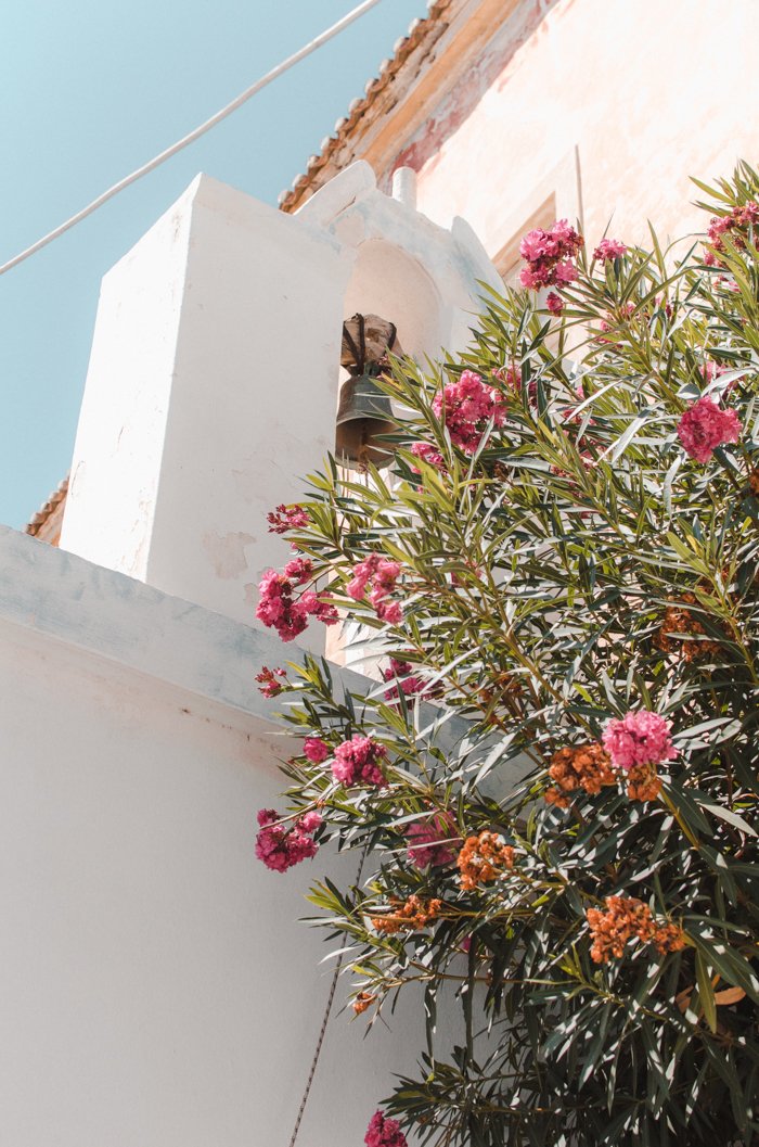 Laurier rose et cloche d'église, Parikia, Paros