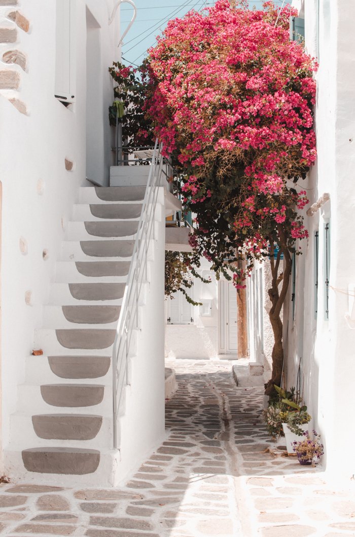 Jolis escaliers et bougainvillier à Parikia, Paros