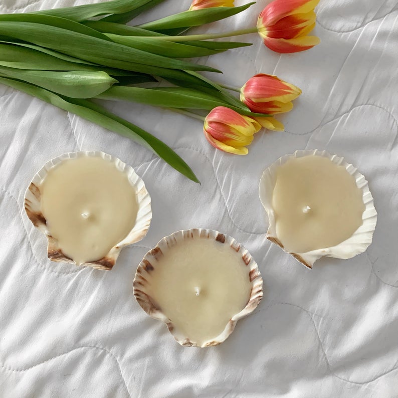 Scallop shell candle
