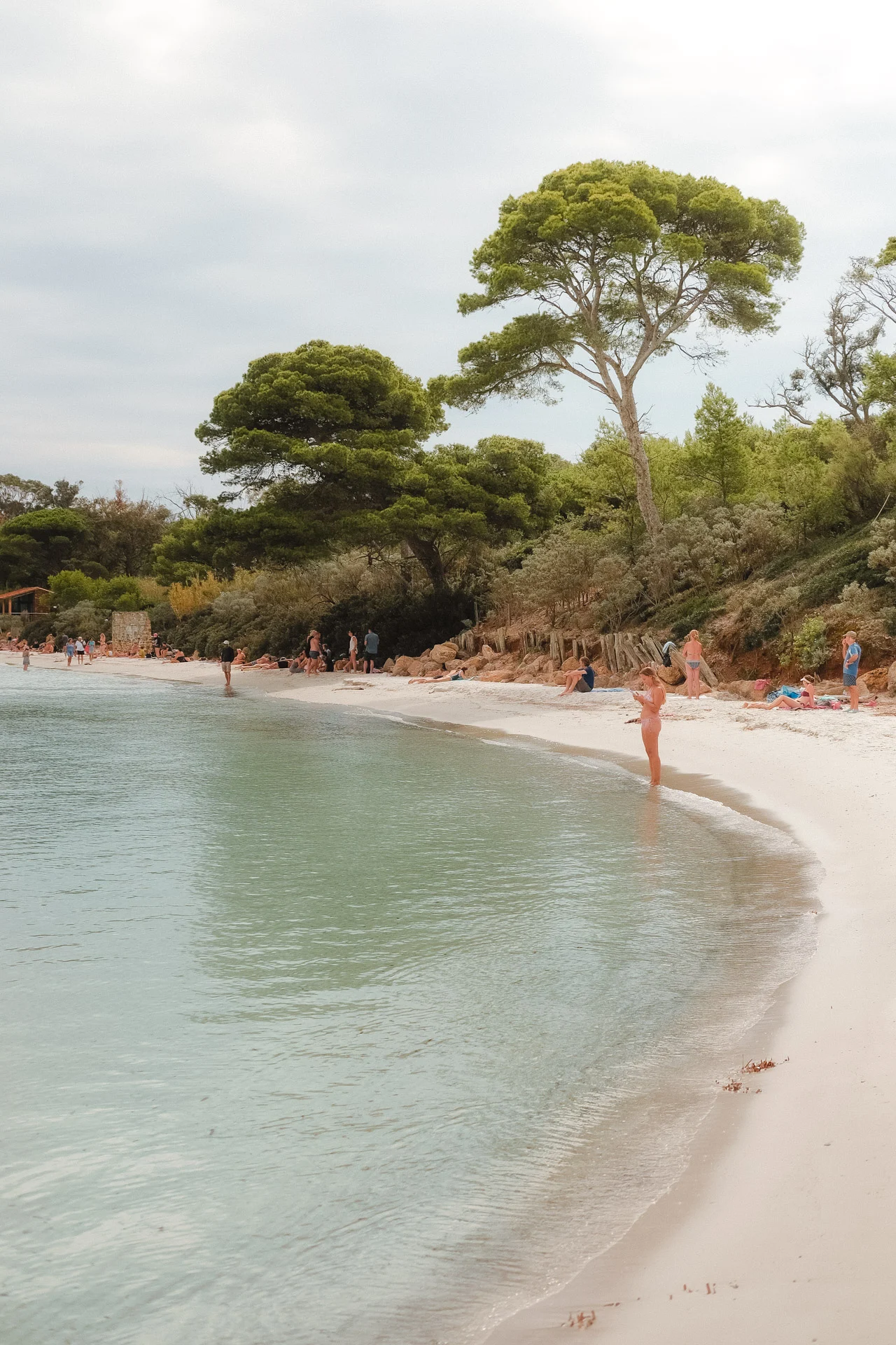 DSCF0187 Que faire à Porquerolles : plage d'Argent