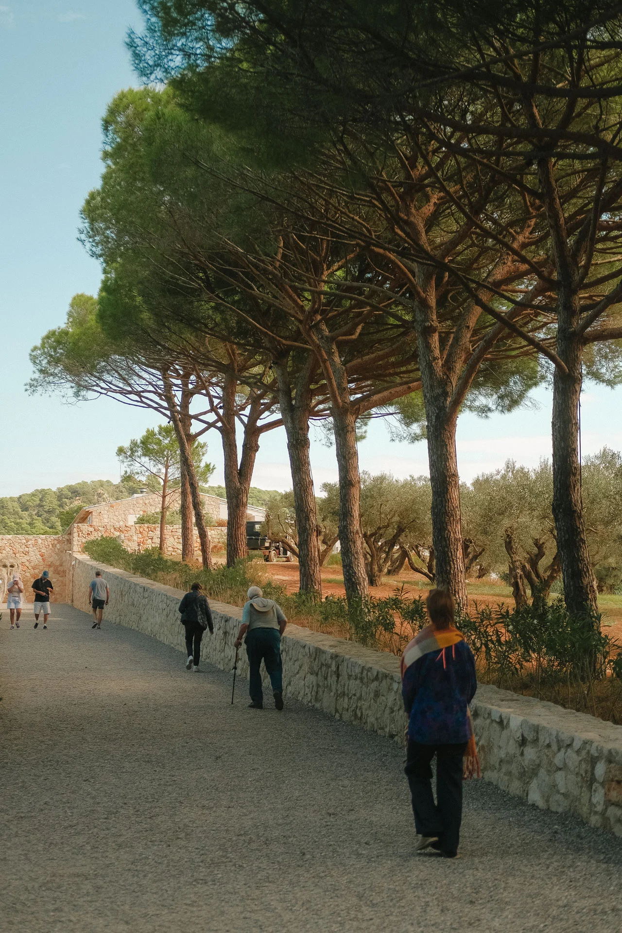 DSCF0204 Que faire à Porquerolles : Fondation Carmignac