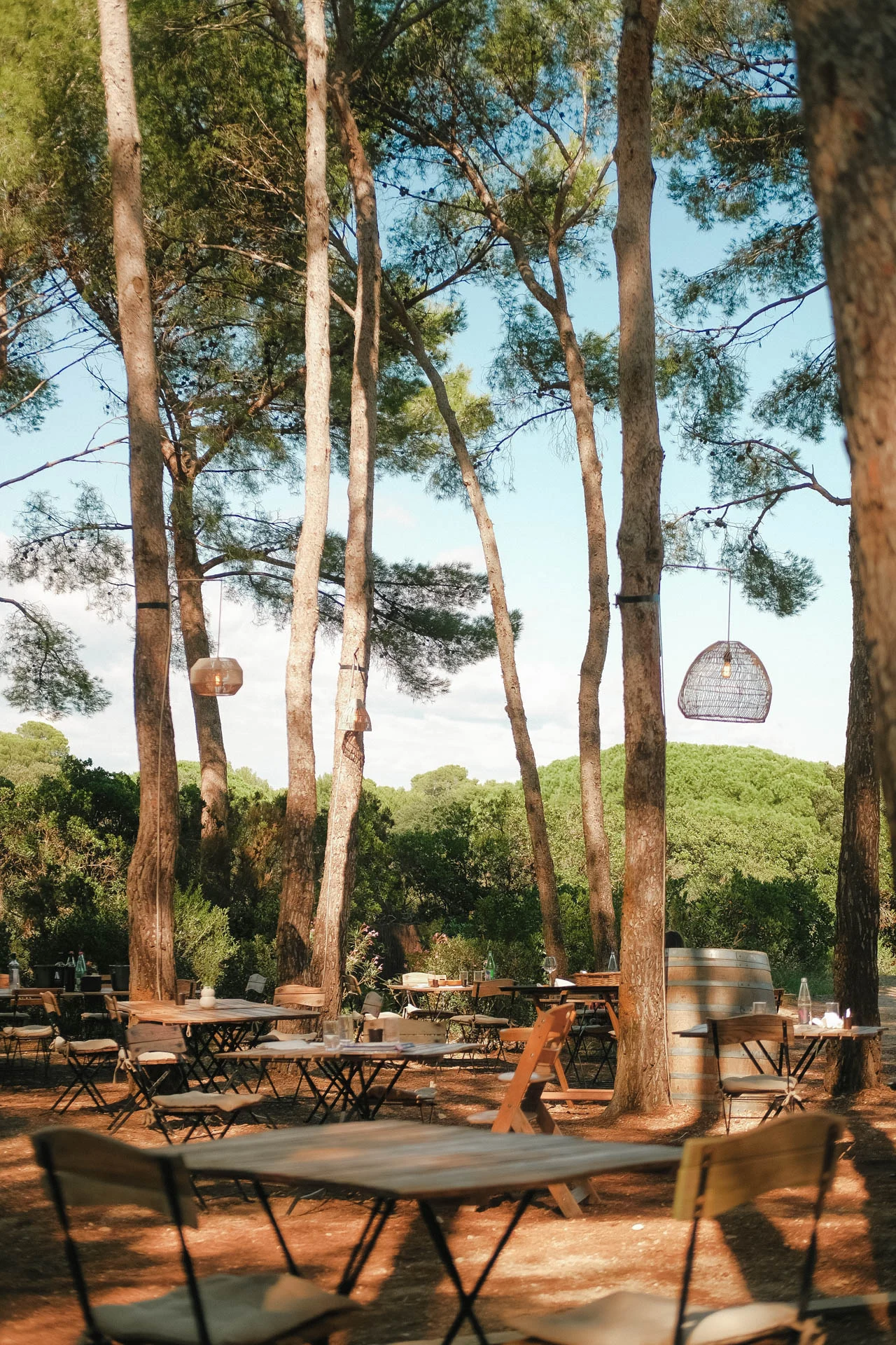 DSCF0212 Que faire à Porquerolles : restaurant le Poisson Ivre