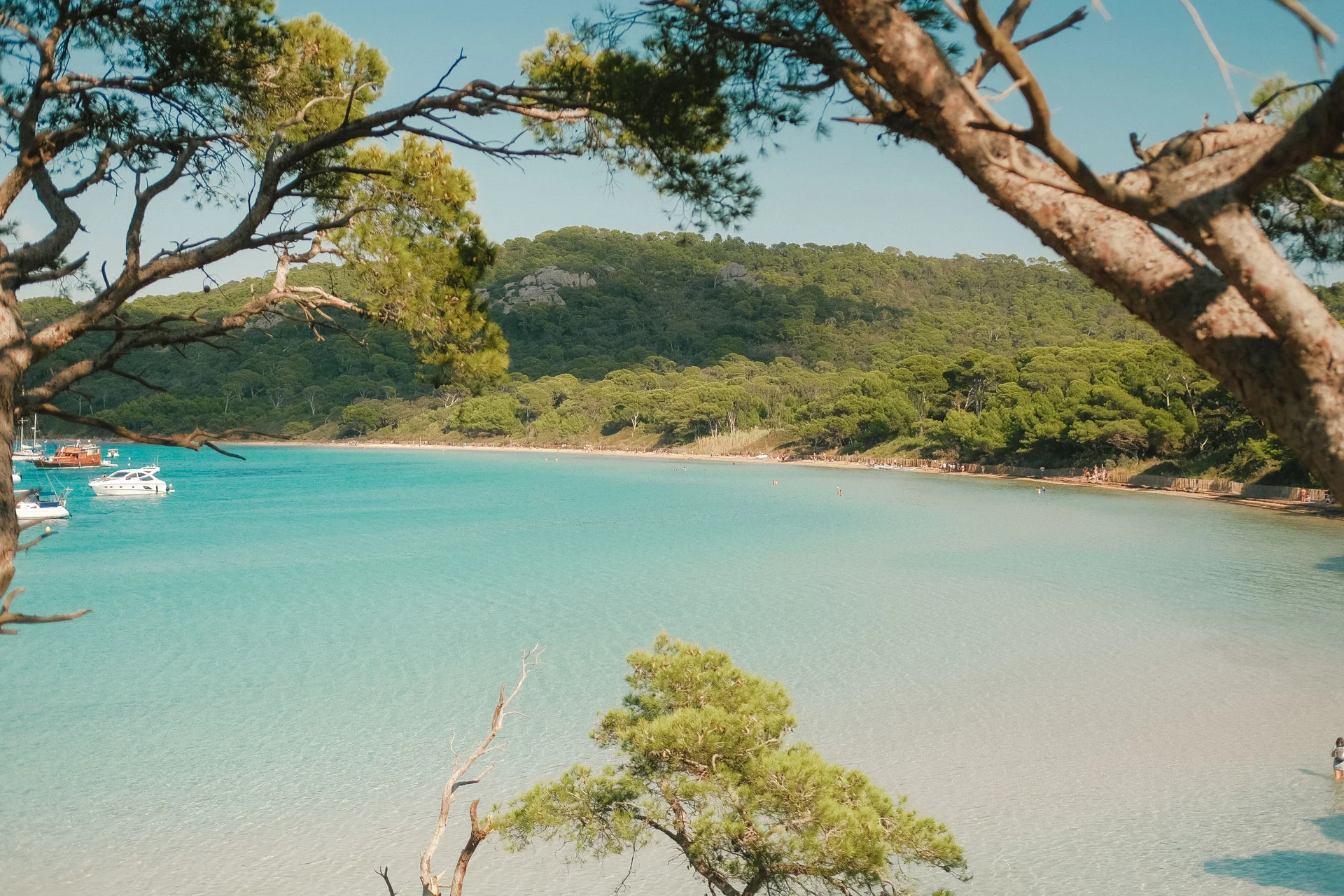 DSCF0220 Que faire à Porquerolles : plage de Notre-Dame