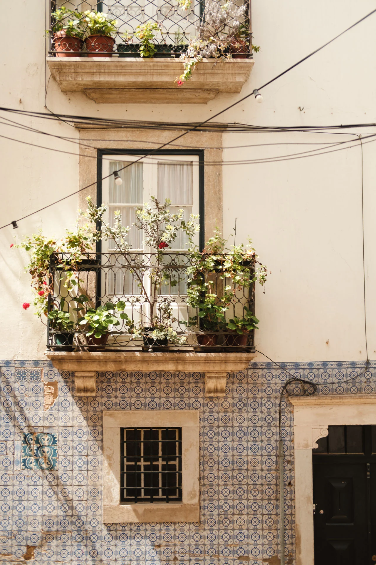 DSCF2381 Que faire a Coimbra en 1 jour