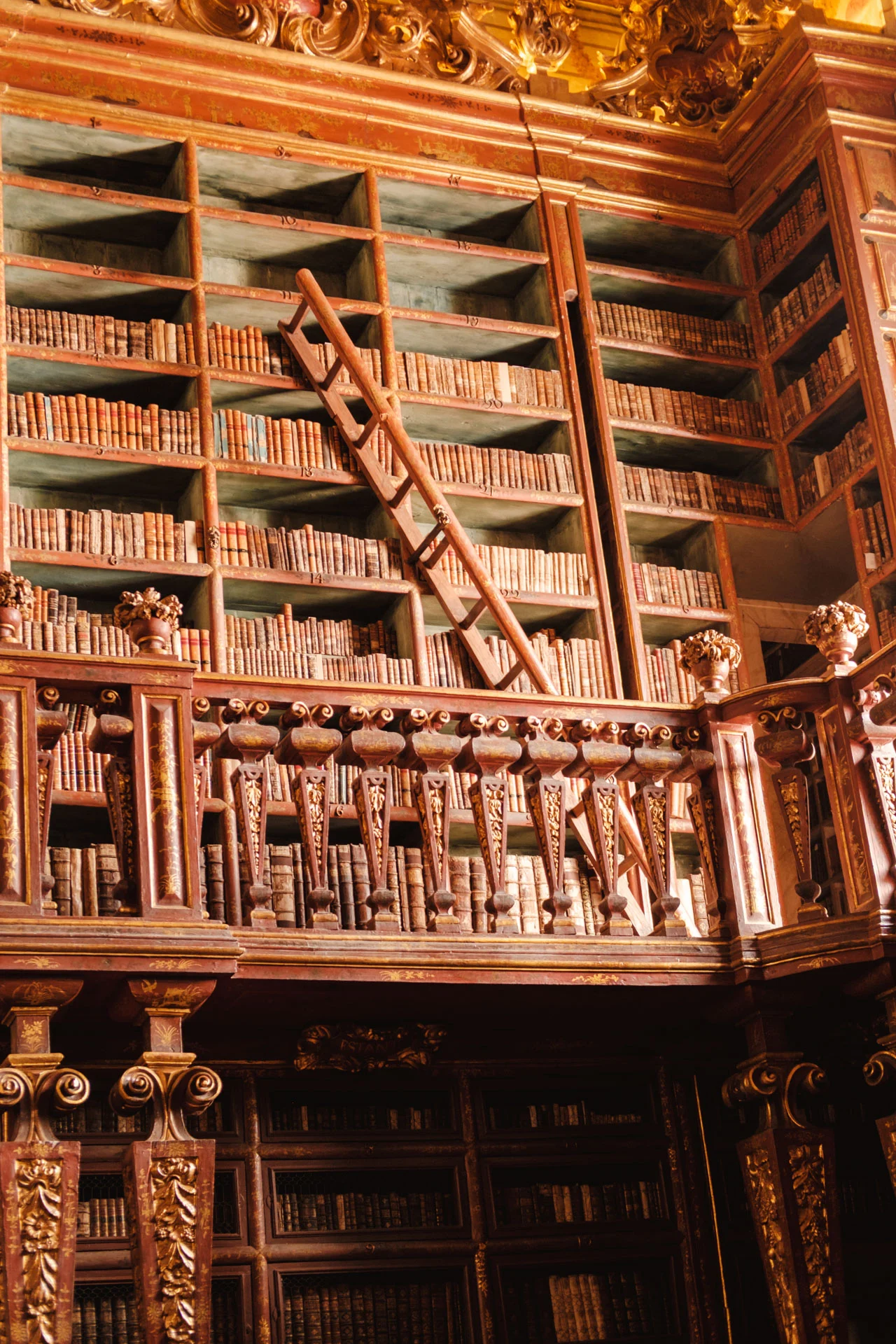 DSCF2449 Visiter Coimbra en 1 jour : librairie Joanina