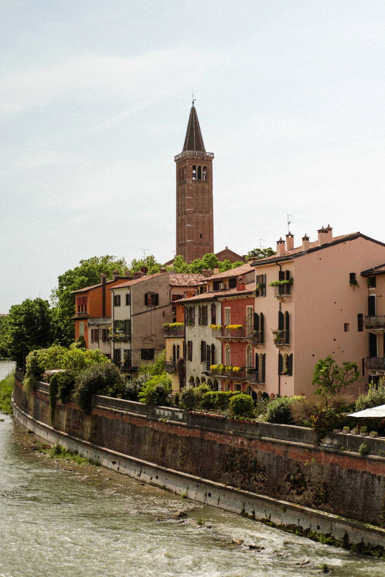 Le campanile de la basilique Sant'Anastasia Le campanile de la basilique Sant'Anastasia