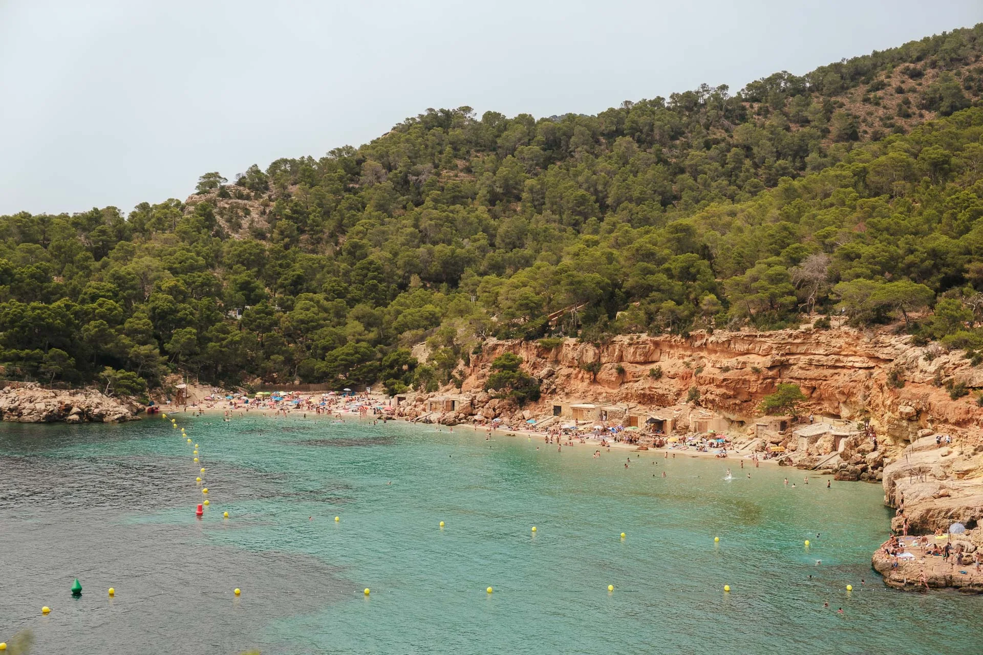 DSCF5021 Cala Saladeta